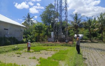 Perkuat Ketahanan Pangan, Bhabinkamtibmas Desa Ngeru Dampingi Petani Padi di Dusun Kalijaga