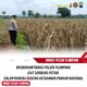Polri Dukung Astacita, Polsek Rengel Polres Tuban Turun Cek Tanaman Jagung Warga di Desa Maibit