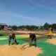 Bhabinkamtibmas Desa Mbawi Bantu Petani Jemur Jagung, Wujud Nyata Dukungan Polri terhadap Program Ketahanan Pangan
