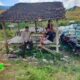 BHABINKAMTIBMAS DESA JALA PANTAU PENJEMURAN HASIL PANEN JAGUNG, DORONG PETANI DUKUNG KETAHANAN PANGAN